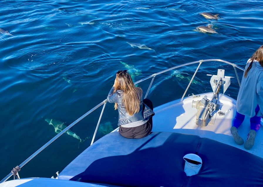 From Benalmádena & Torremolinos: Dolphin Watch Boat Trip - A 10.6-meter dolphin hunt off Benalmádena and Torremolinos