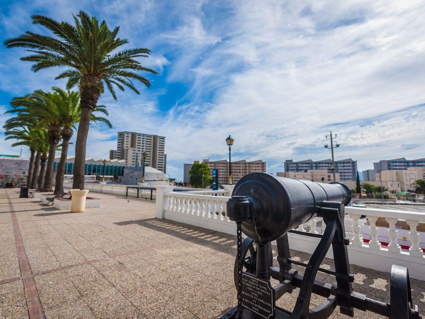 From Costa del Sol: Gibraltar Dolphin Watching by Boat - Key things that make this tour worth a look