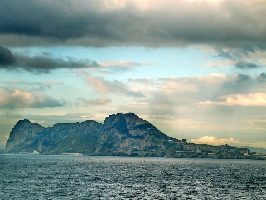 From Costa del Sol: Gibraltar Dolphin Watching by Boat - How the Strait of Gibraltar Turns Into a Dolphin Hunt