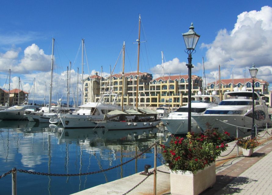 From Costa del Sol: Gibraltar Dolphin Watching by Boat - The 90-Minute Boat Cruise: Where Cetaceans Are Found