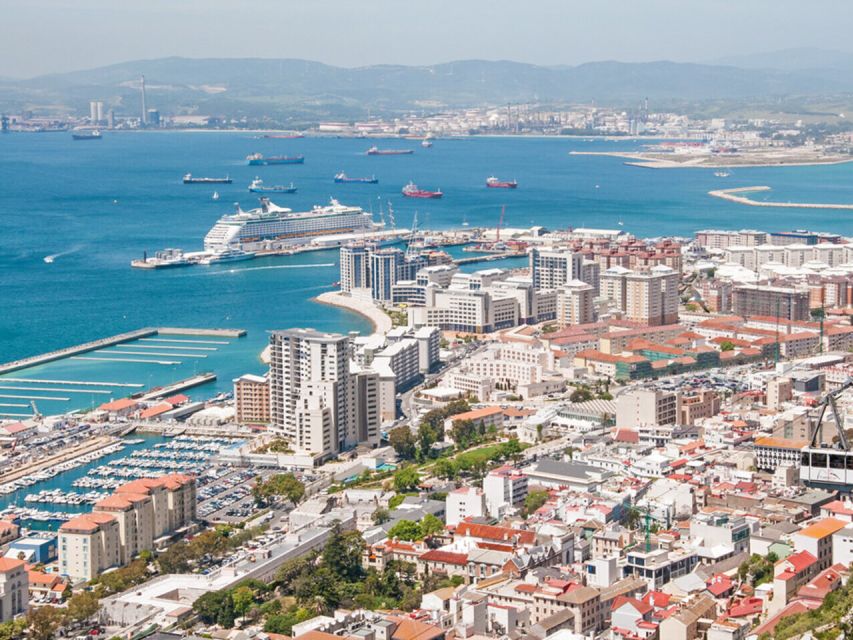 From Costa del Sol: Gibraltar Dolphin Watching by Boat - Price and Value: What $106 Buys You (and what it doesn’t)