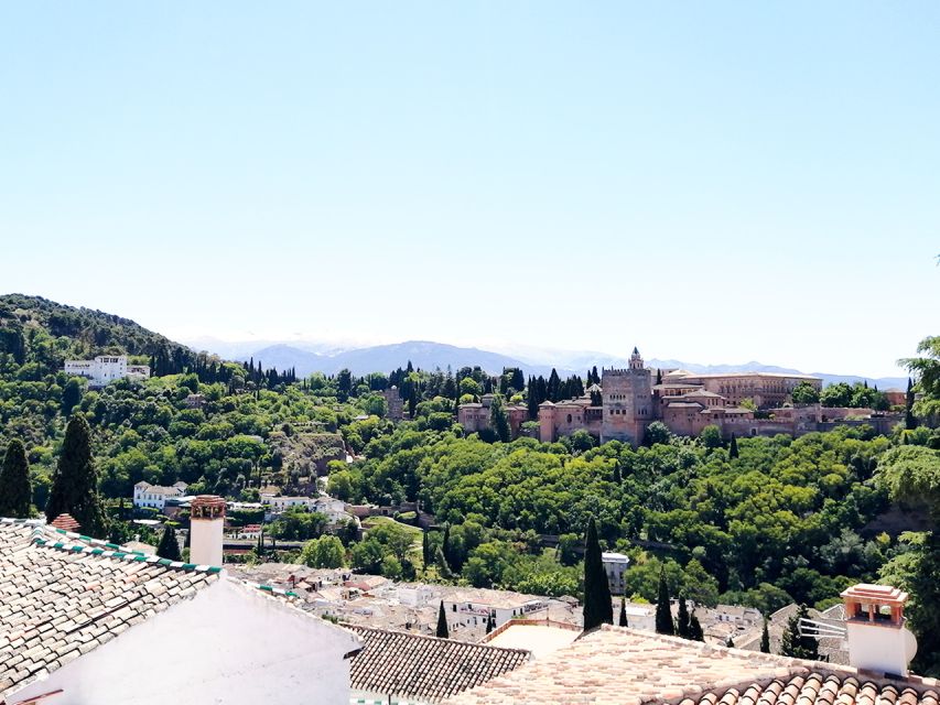 From Costa del Sol: Granada Day Trip Free Time 5h - Who This Tour Fits Best (and Who Should Skip It)
