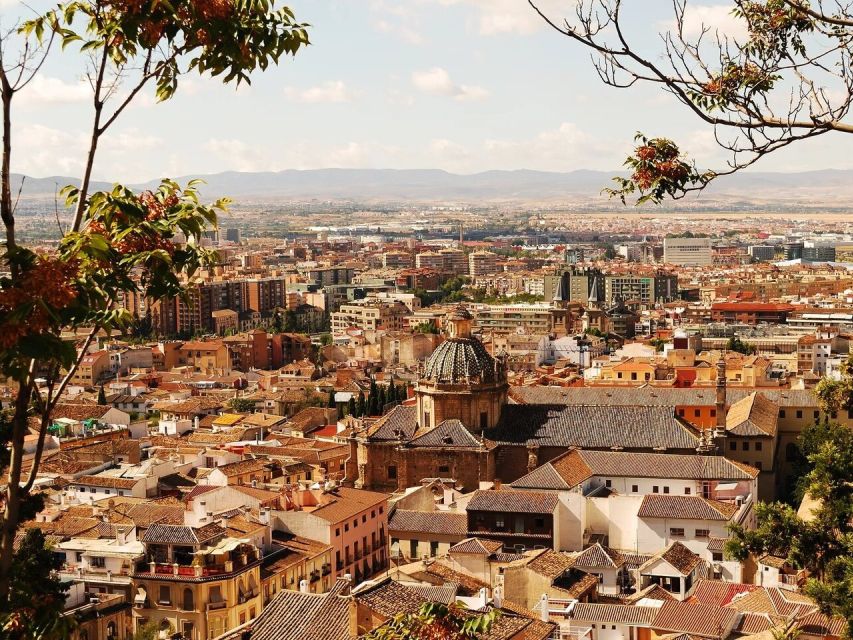 From Costa del Sol: Granada Day Trip Free Time 5h - The 30-Minute Breakfast Stop: Quick Fuel, No Big Plans