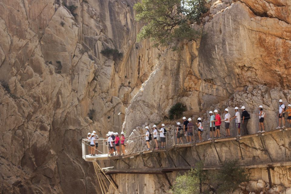 From Málaga: Caminito del Rey Full-Day Tour - Getting from Málaga: air-conditioned coach and a real meeting point