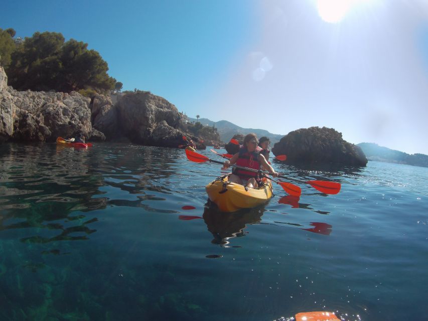 From Málaga: Cliffs of Maro-Cerro Gordo Guided Kayaking Tour - Wildlife spotting: goats, lizards, and birds near the rocks