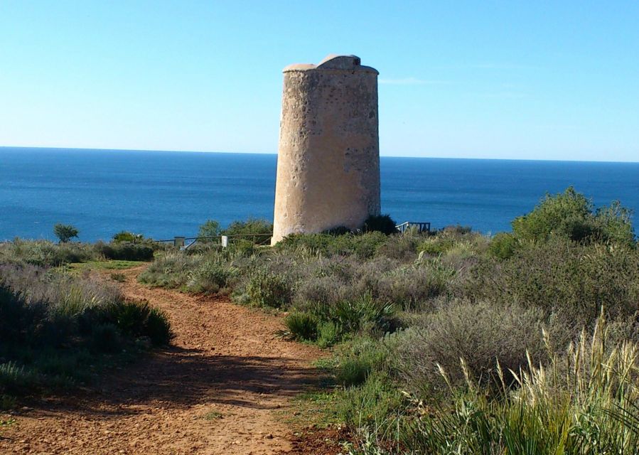 From Malaga: Cliffs of Maro Hike w/ Beach Visit & Snorkeling - Getting to the start in Malaga: van time that’s worth it