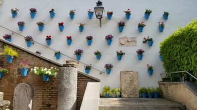 From Malaga: Cordoba Day Trip and Mosque-Cathedral - The Judería walk: where the city’s layers become readable