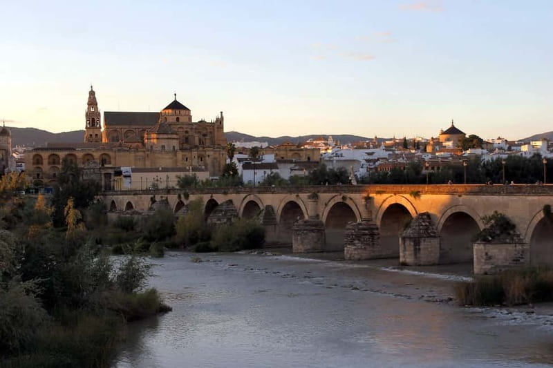 From Málaga: Córdoba Mosque Guided Tour - Key things that make this Córdoba trip worth your time
