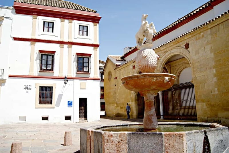 From Málaga: Córdoba Mosque Guided Tour - Inside the Mosque-Cathedral: what your guide helps you notice