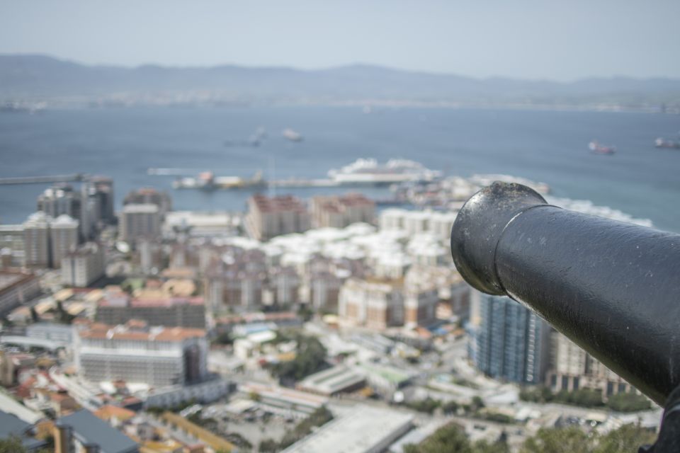 From Malaga: Day Trip to Gibraltar - Upper Rock Nature Reserve and Barbary Macaques Up Close
