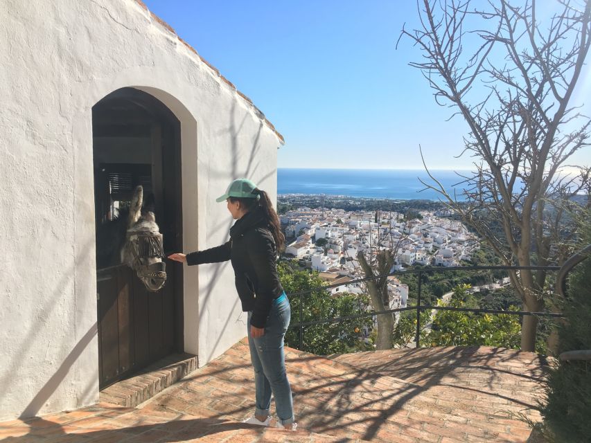 From Málaga: Frigiliana Hiking Tour with Wine & Appetizers - Avocado plantations and the first taste of Andalusian water