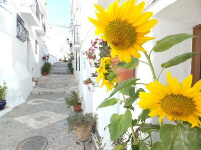From Málaga: Frigiliana Hiking Tour with Wine & Appetizers - From Málaga center to the trailhead: logistics that stay easy