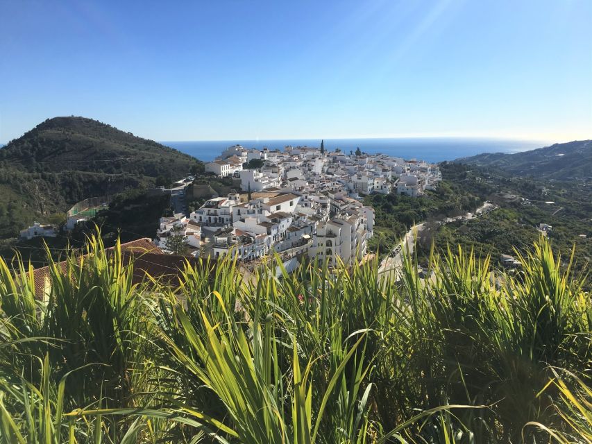 From Málaga: Frigiliana Hiking Tour with Wine & Appetizers - Frigiliana village and the wine cellar finish
