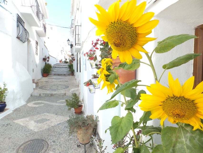 From Málaga: Frigiliana Hiking Tour with Wine & Appetizers - From Málaga center to the trailhead: logistics that stay easy
