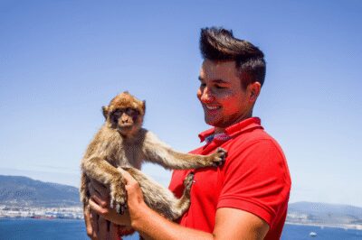 From Malaga: Full-Day Trip to Gibraltar - Your Gibraltar Free Time: Shopping, Orientation, and Picking Your Rock Plan