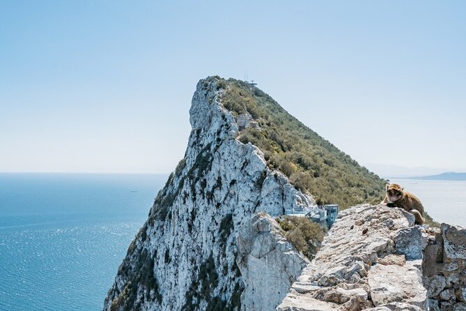 From Malaga, Gibraltar excursion with transport - Key things to know before you go