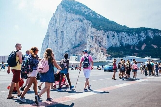From Malaga, Gibraltar excursion with transport - The Rock of Gibraltar: How to choose your climb option