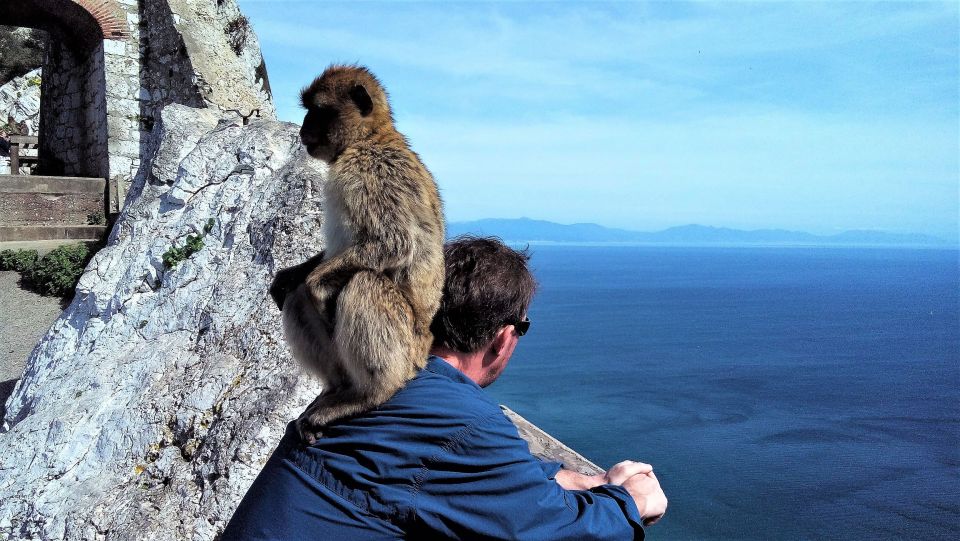 From Málaga or Marbella: Private Gibraltar Tour - Key things to know before you go