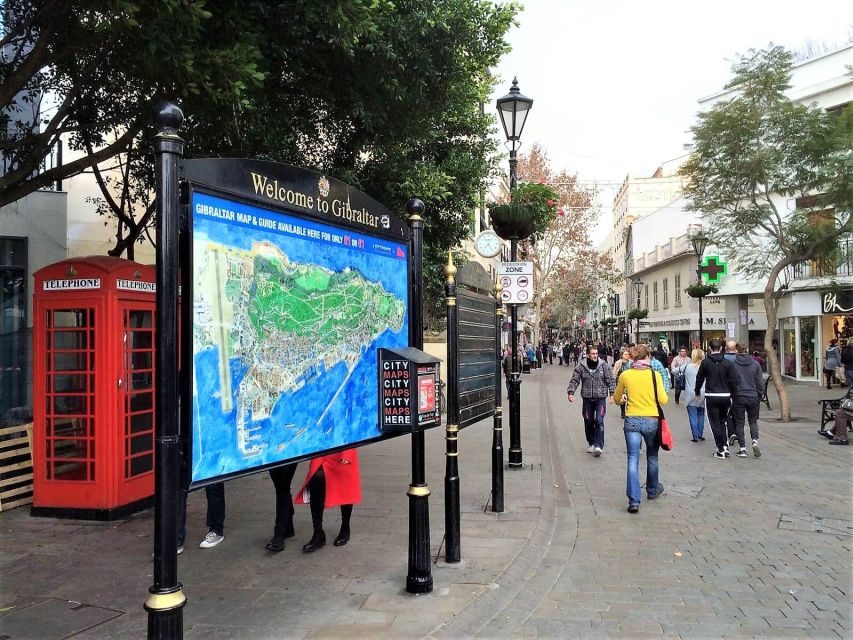 From Málaga or Marbella: Private Gibraltar Tour - Nature Reserve on the Rock: guided time that turns views into stories