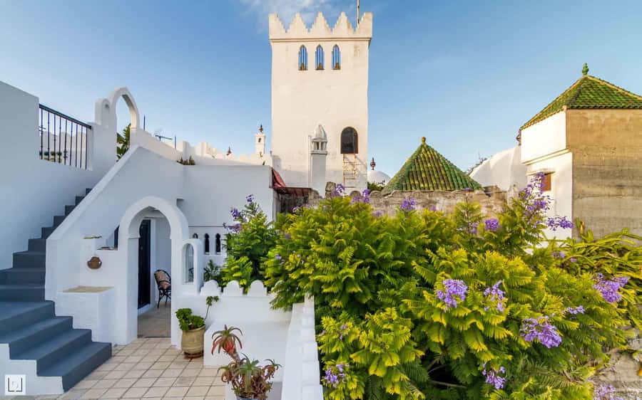 From Malaga or Tarifa: Private Tangier Day Tour - Price and value: is $275 per person worth a private day?