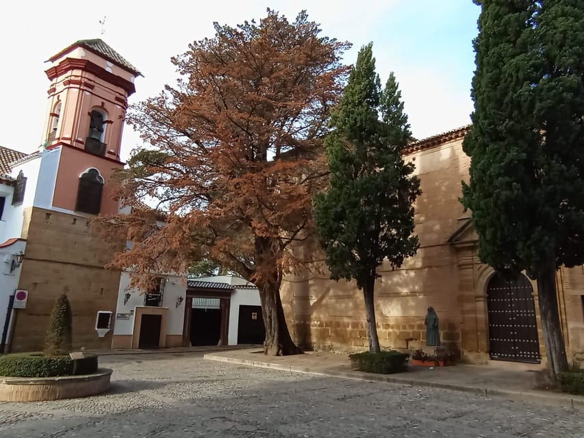 From Malaga: private tour Ronda and Setenil de las Bodegas - Free time in Ronda: how to use it without losing the plot