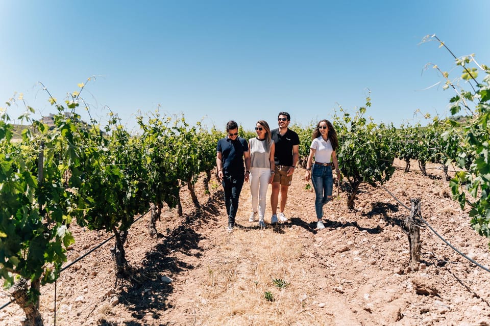 From Málaga: Ronda, Wine & Olive Oil Tasting Small Group - Guided Ronda walk: Puente Nuevo and Plaza de Toros