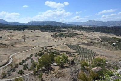 From Malaga: Ronda y Setenil de la Bodegas Day Trip by coach - Ronda’s gorge and Puente Nuevo: the moment it clicks