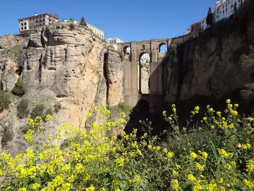 From Malaga: Ronda y Setenil de la Bodegas Day Trip by coach - Guides, group size, and pacing: what to watch for