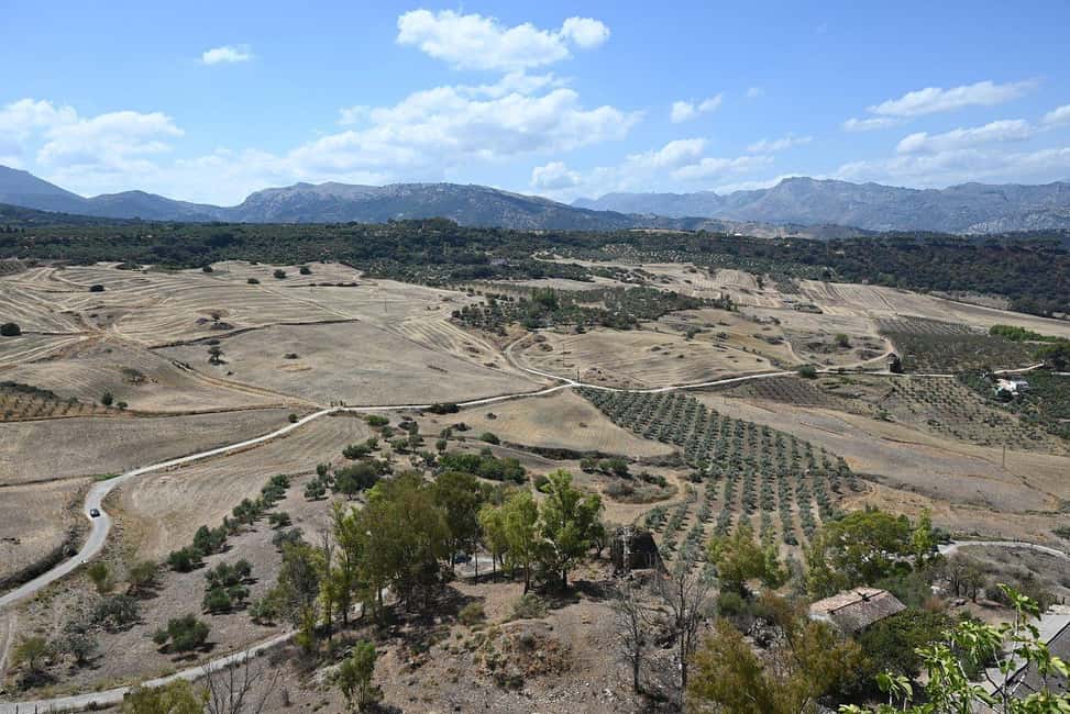 From Malaga: Ronda y Setenil de la Bodegas Day Trip by coach - Ronda’s gorge and Puente Nuevo: the moment it clicks