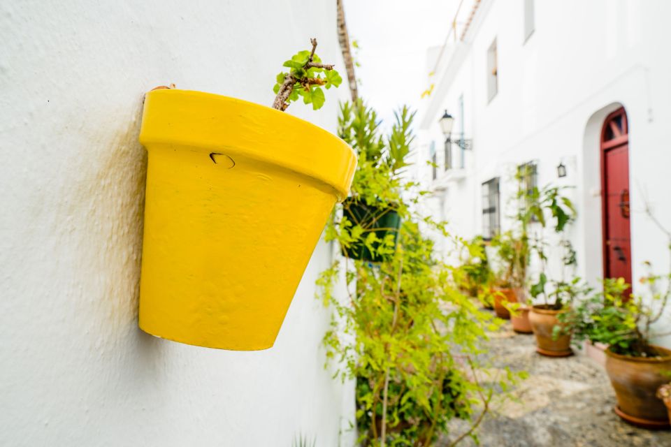 From Málaga: Skip-the-Line Nerja Cave and Frigiliana - Should you book this tour?