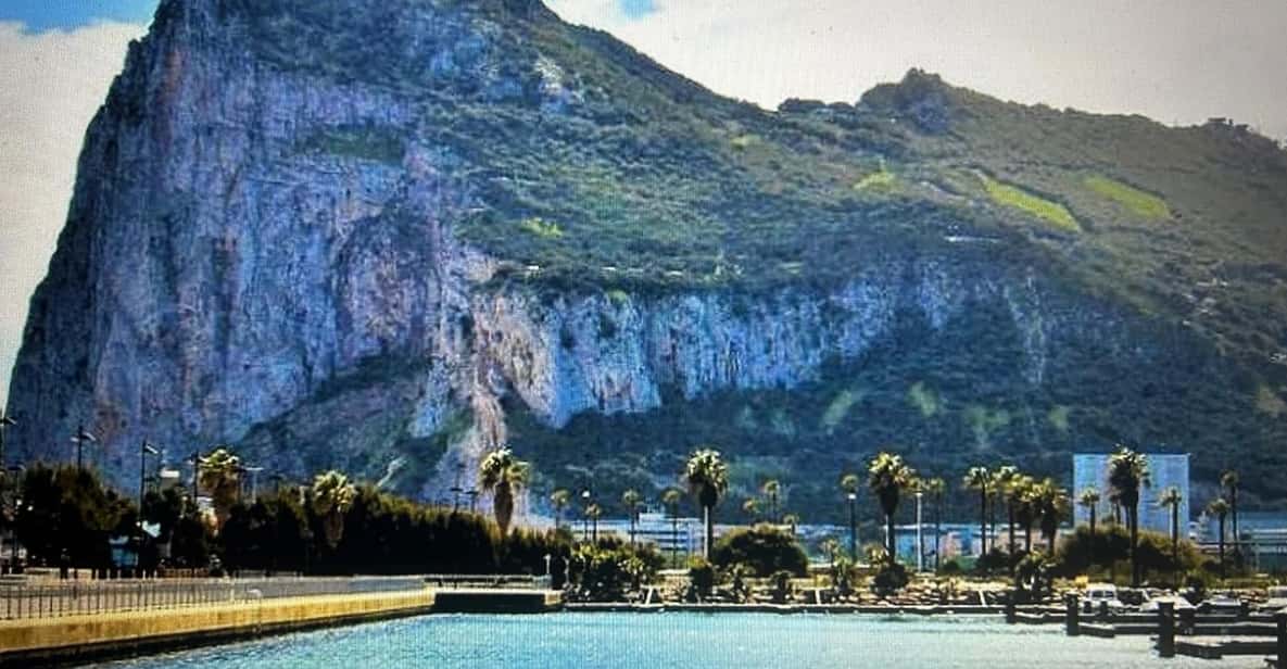 From Marbella/Estepona: VIP Gibraltar Tour Monkeys + Nature Reserve + Shopping - The Rock Plan: Cable Car Up, Viewpoints Out, Cafe Time On