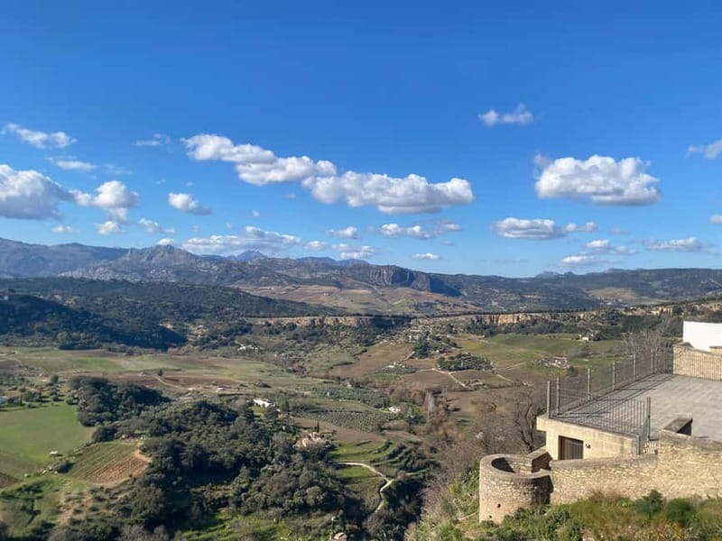 from Marbella, Estepona:Private tour Ronda incl. transfer,bullring,tapas - Tapas Tasting and Regional Wine: Lunch Done the Right Way