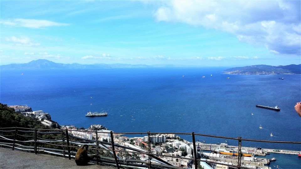 From Marbella: Guided Private Trip to Gibraltar and Estepona - Price and Value: What $700 Per Person Really Buys