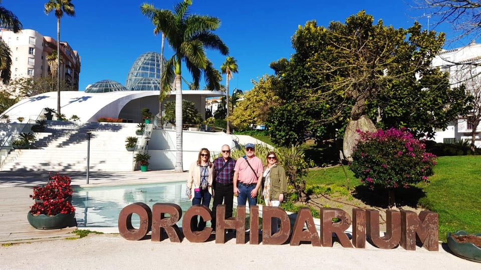 From Marbella: Guided Private Trip to Gibraltar and Estepona - St. Michael’s Cave and the Big Gibraltar Landmarks