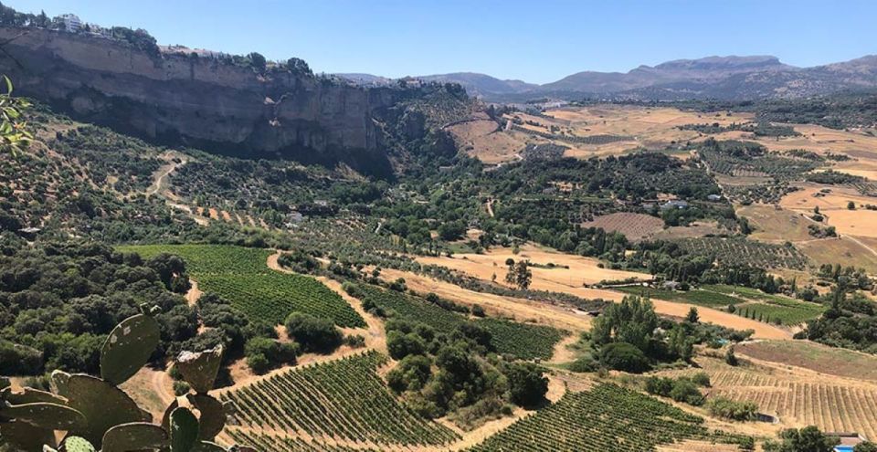 From Marbella: Ronda Tour Wineries Tour with Lunch - Marbella to Ronda: the drive sets the tone