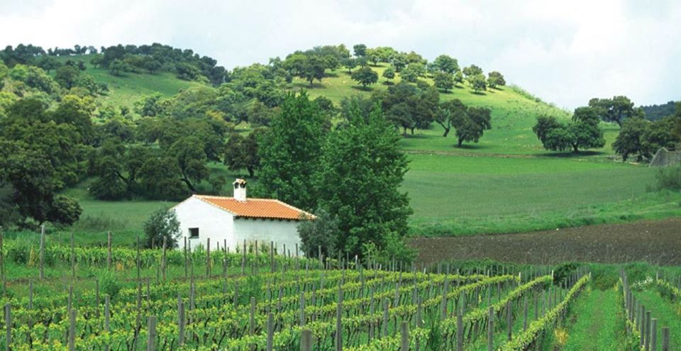 From Marbella: Ronda Tour Wineries Tour with Lunch - Winery stop one: reds, pairing plates, and a hands-on tasting