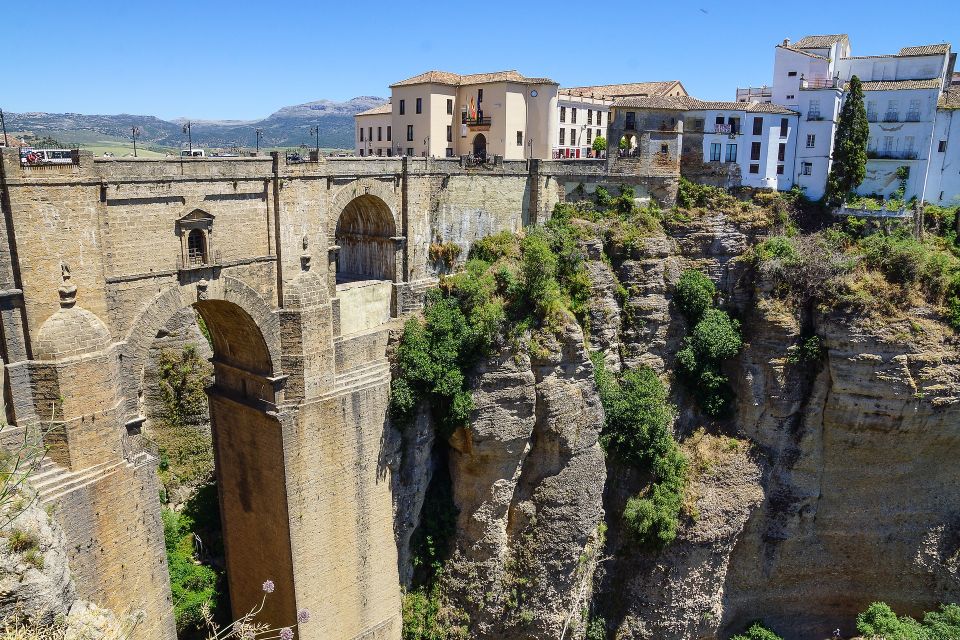 From Seville: Ronda and Setenil de Las Bodegas Private Tour - Who This Tour Suits Best