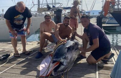 Fuengirola: 4h Trolling Fishing Trip with Snacks and Drinks - Trolling Fishing Off Fuengirola: what you’re trying to do