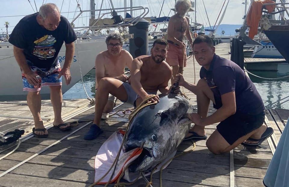 Fuengirola: 4h Trolling Fishing Trip with Snacks and Drinks - Trolling Fishing Off Fuengirola: what you’re trying to do