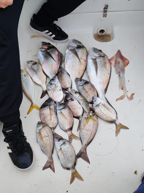 Fuengirola: Bottom Fishing with Jigging and Squid, 2, 4 and 6 hours - The Main Consideration: What to Watch For on the Day