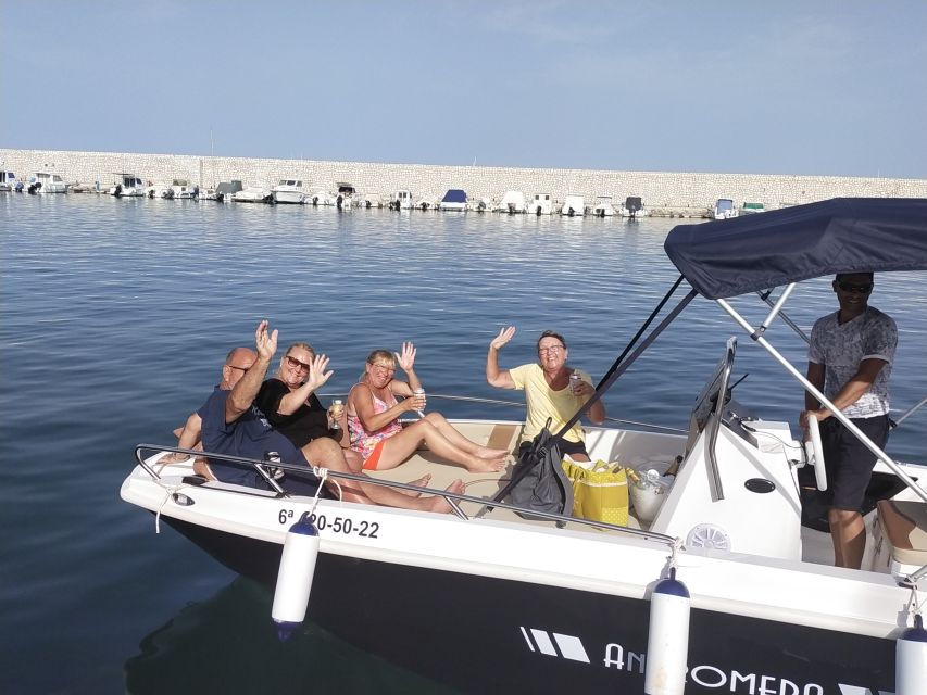 Fuengirola: Dolphin Watching Tour with Snacks and Drinks - Key Things to Know Before You Go