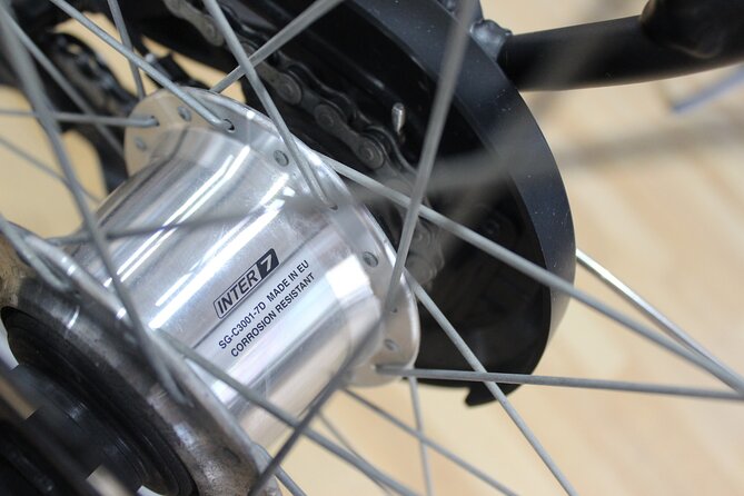 Full Day Bike Rental in Malaga - Families Can Do This Too (Including Toddler Setups)