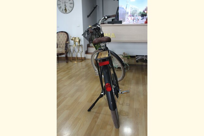 Full Day Bike Rental in Malaga - Service Animals and Getting Around Logistics