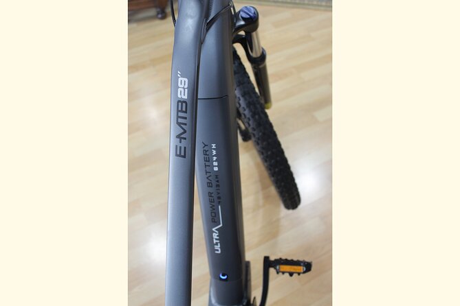 Full Day Rental of Electric Mountain E-Bike - Quick hits: what makes this rental special