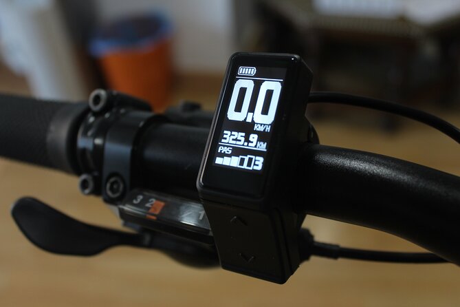 Full Day Rental of Electric Mountain E-Bike - Malaga in a day: why an e-bike rental works so well