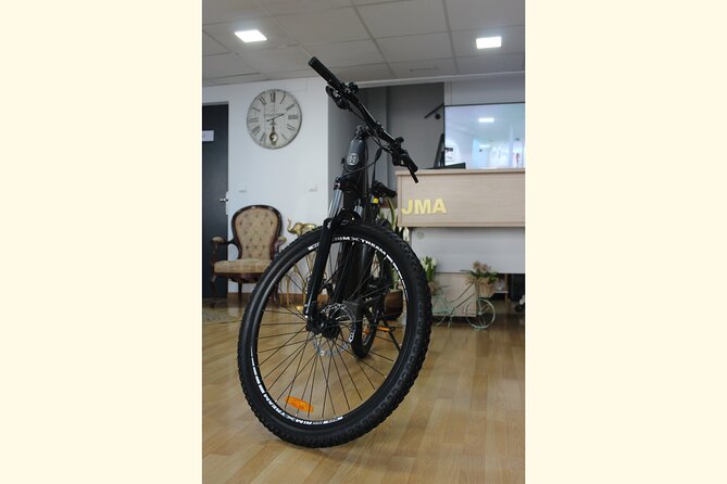 Full Day Rental of Electric Mountain E-Bike - Price and value: is $13 really enough for a full-day e-bike?