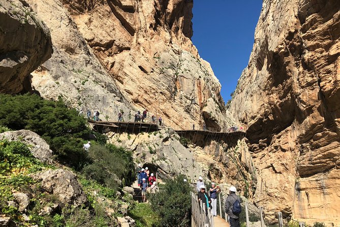 Full Day Walking Tour to Caminito del Rey - Price and logistics: where the value comes from