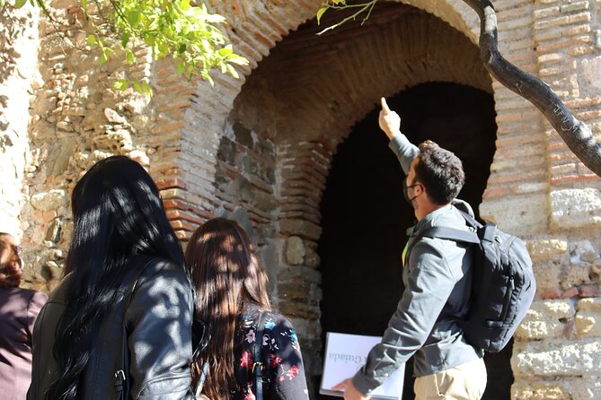Get to know Malaga like a Local : Private Walking Tour - Museo Picasso Malaga (entrance only): learn what the museum represents