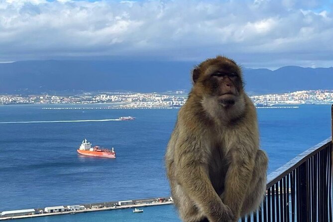 Gibraltar Private Daytrip From Malaga - St. Michael’s Cave and the Great Siege Tunnels: tickets handled, time managed