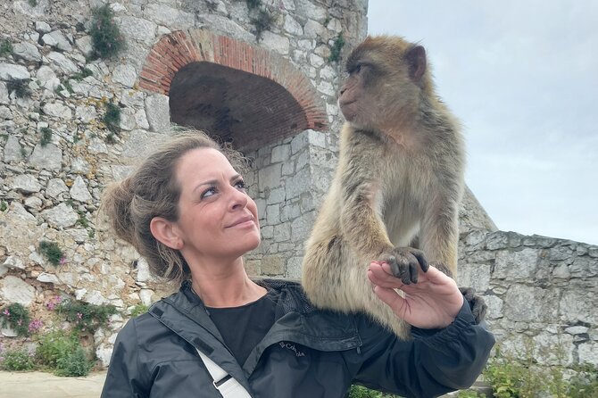 Gibraltar Private Tour from Malaga and Surrounding Areas - Getting to Gibraltar highlights fast: how the Rock tour is set up